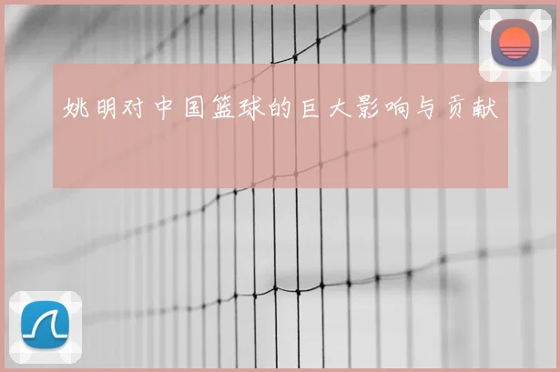 姚明对中国篮球的巨大影响与贡献