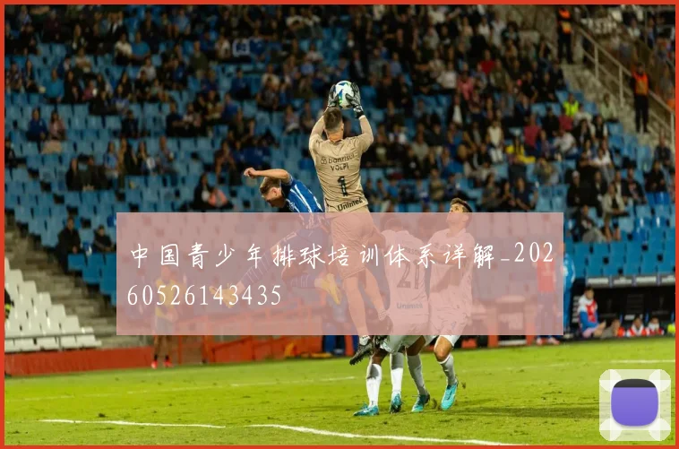 中国青少年排球培训体系详解_20260526143435