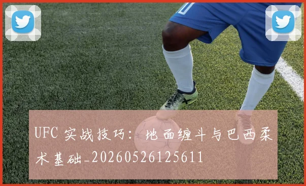 UFC 实战技巧：地面缠斗与巴西柔术基础_20260526125611
